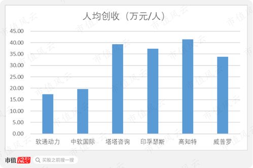 软通动力 私有化后的曲折上市路，软件外包巨头能否借注册制圆梦？